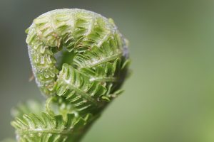 Premium Official Fifa Betting Tips India: Pro Tips to Win in India (2027)